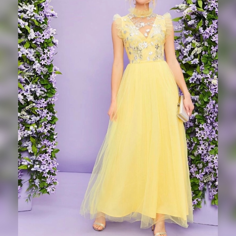 Ruffle Trim Sequin Embroidery Mesh Dress